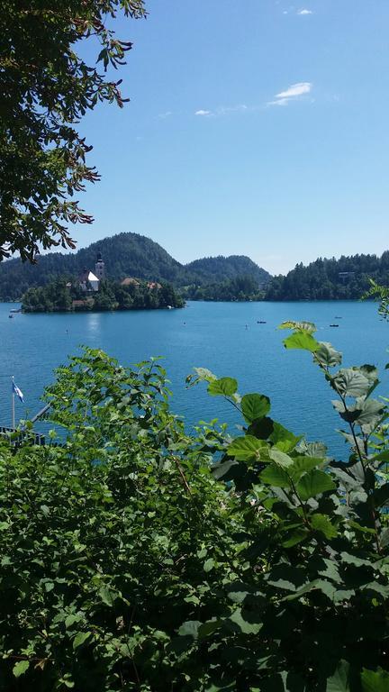 Apartment Stepanjan Bled Zewnętrze zdjęcie