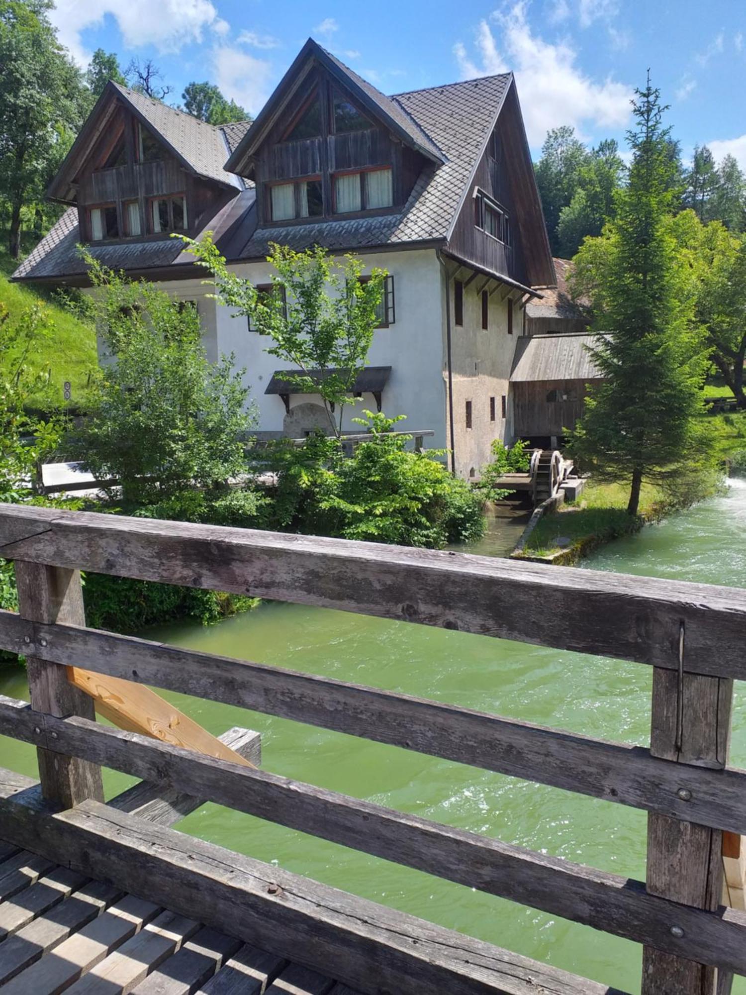Apartment Stepanjan Bled Zewnętrze zdjęcie